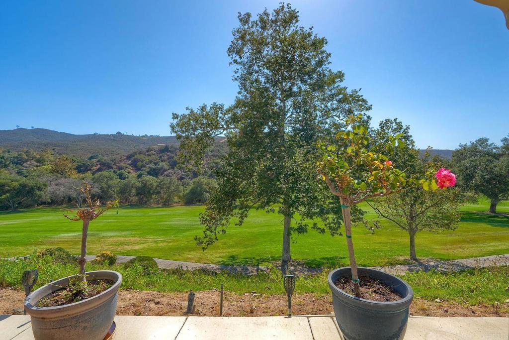 29118 Laurel Valley Dr Property Photo 35