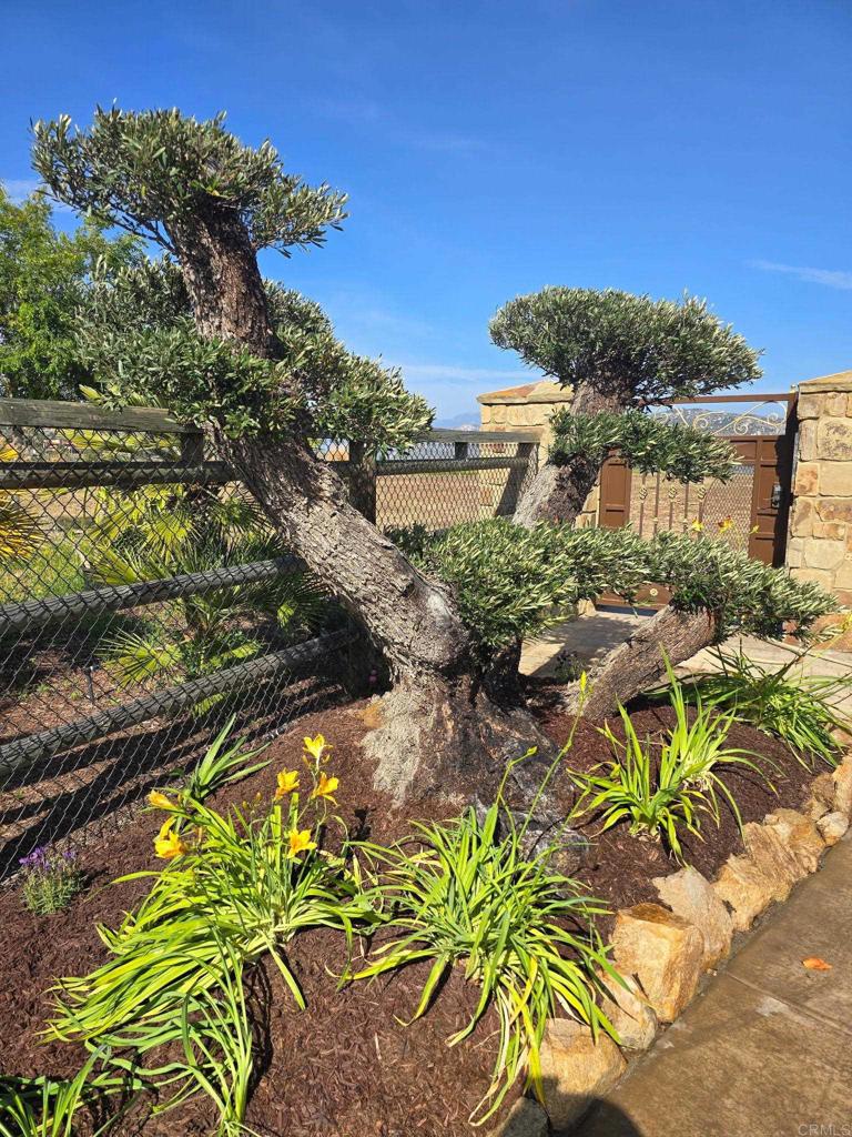 3752 Monserate Place Property Photo 5