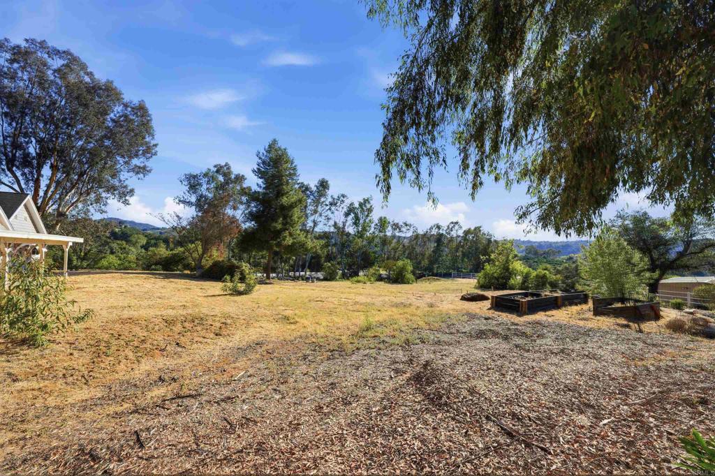 11955 Sky View Drive Property Photo 46