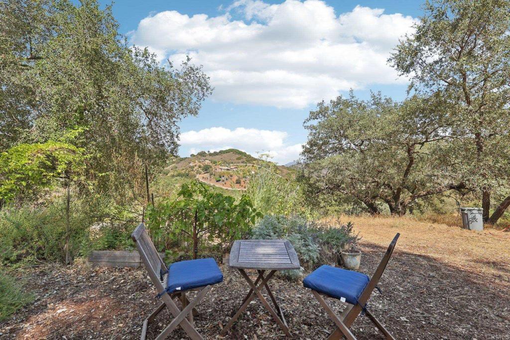 28295 Camino Estribo Property Photo 53