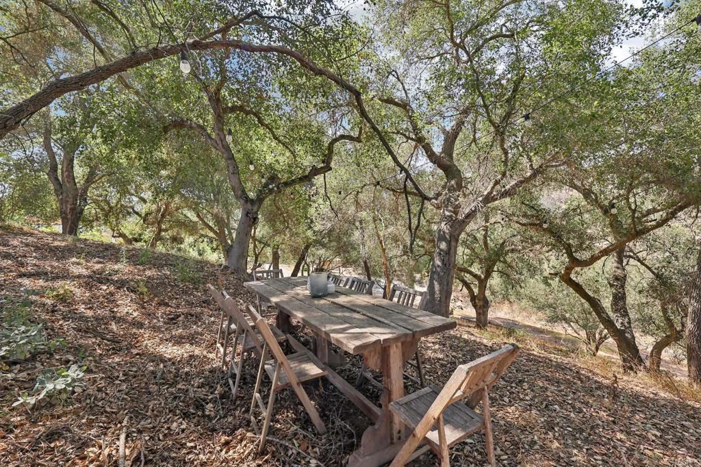 28295 Camino Estribo Property Photo 54