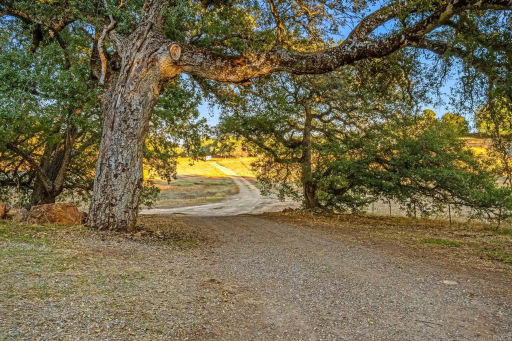 25258 Black Canyon Road Property Photo 64