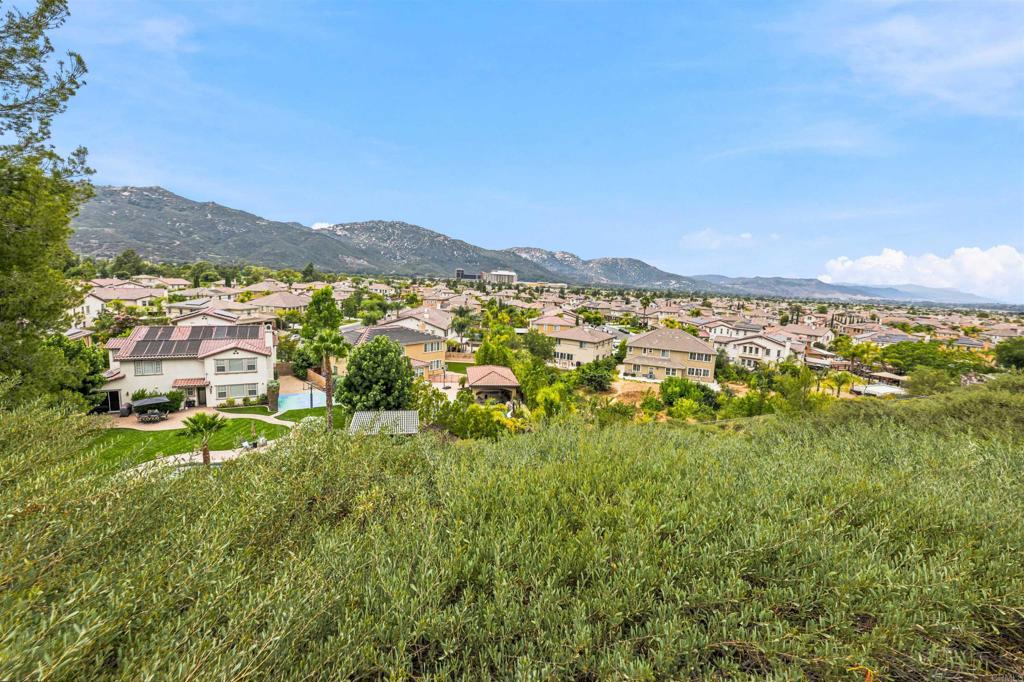 46145 Via La Colorada Property Photo 6