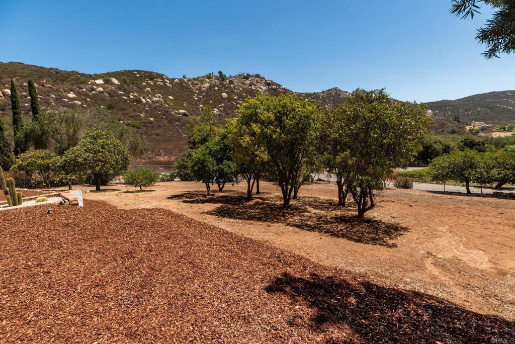 1650 Silver Tree Lane Property Photo 37