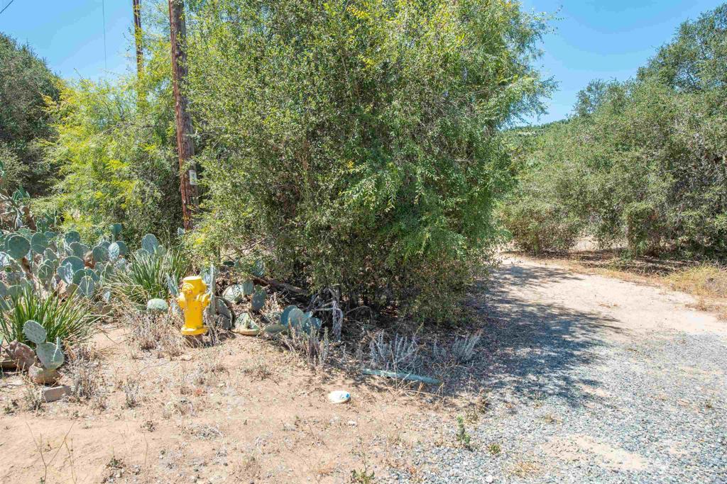 11248 Oshia Lane Property Photo 2