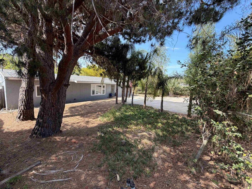 1119 Monte Vista Drive Property Photo 4