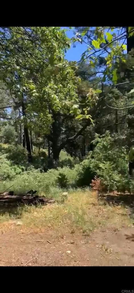 0 Burnt Creek Canyon Road Property Photo 2