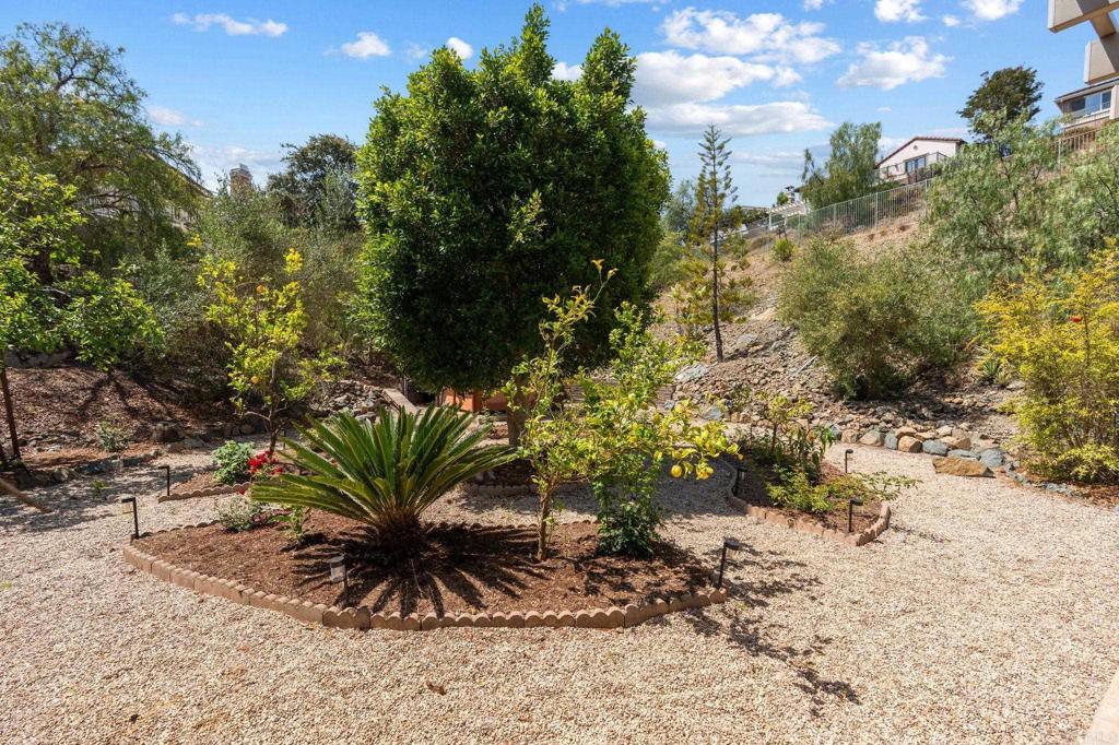 813 Genoa Way Property Photo 60