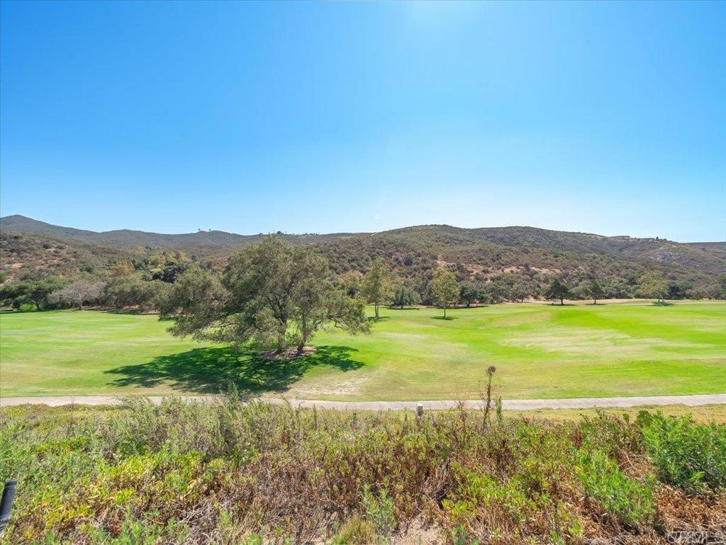 29142 Laurel Valley Drive Property Photo 61