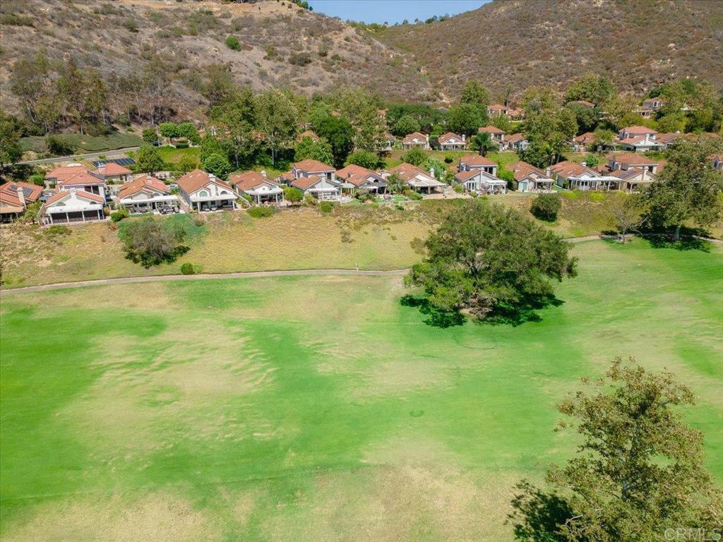 29142 Laurel Valley Drive Property Photo 62