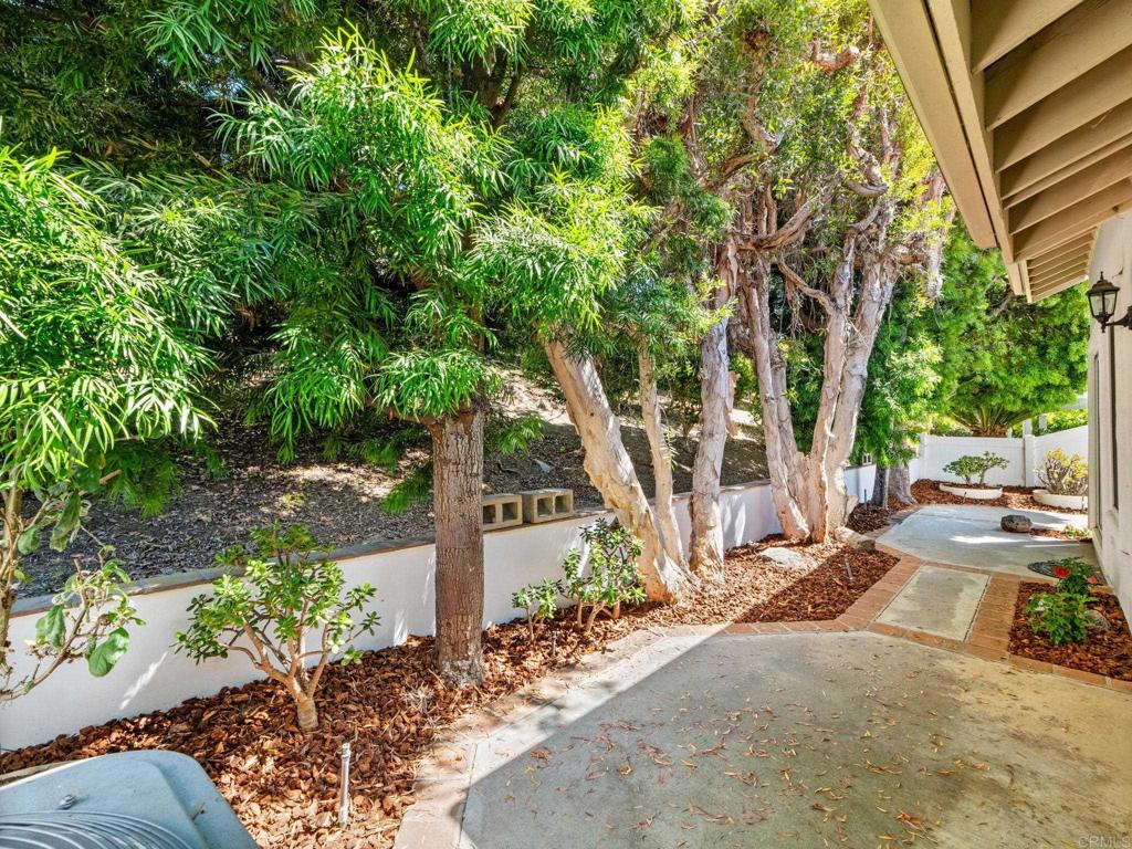 4938 Kalamis Way Property Photo 19