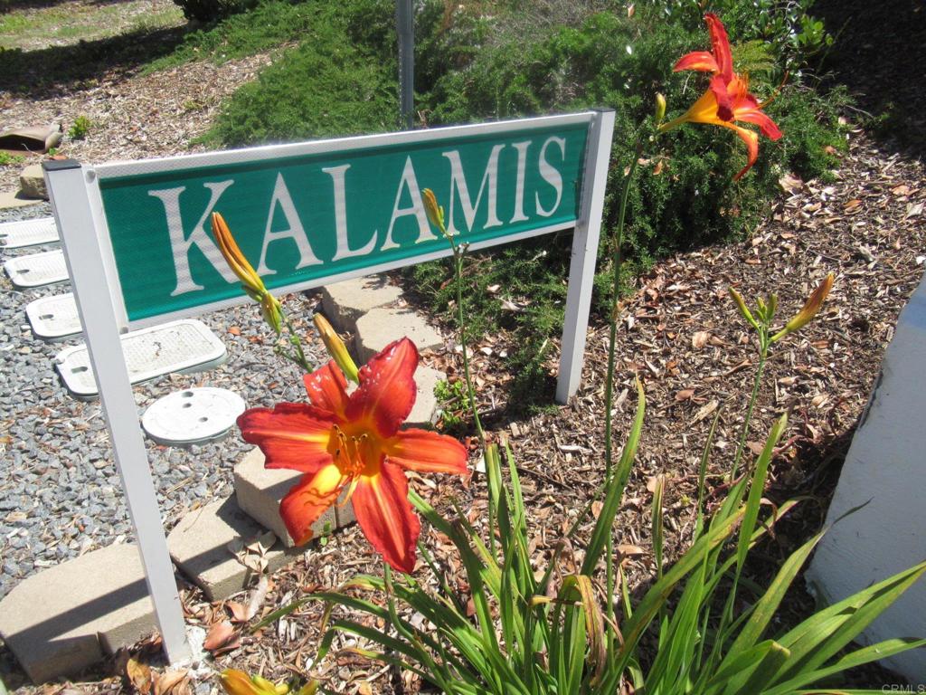 4938 Kalamis Way Property Photo 39