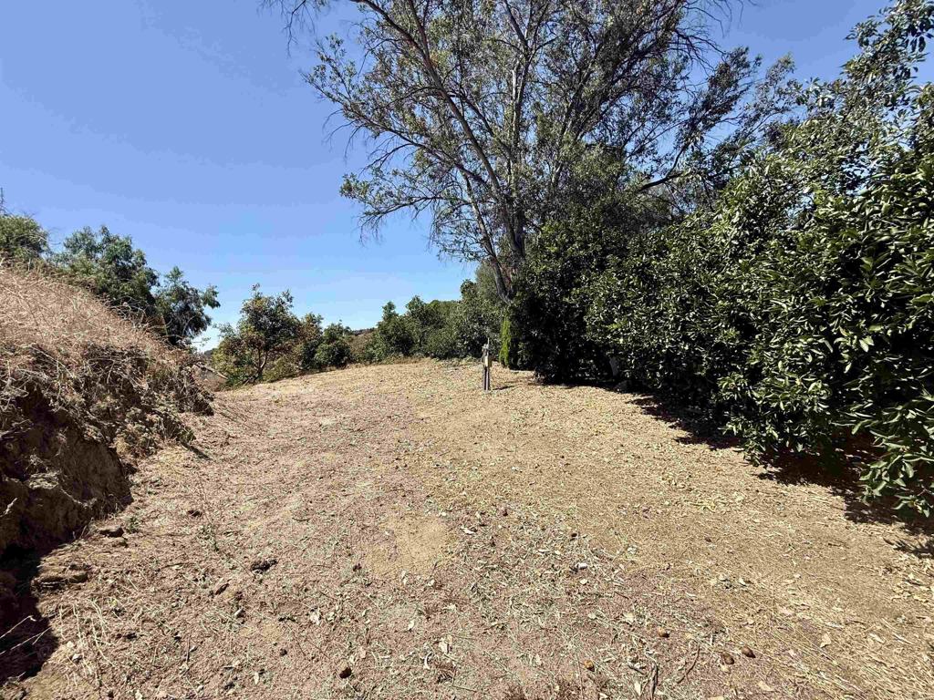764 Old Highway 395 Property Photo 13
