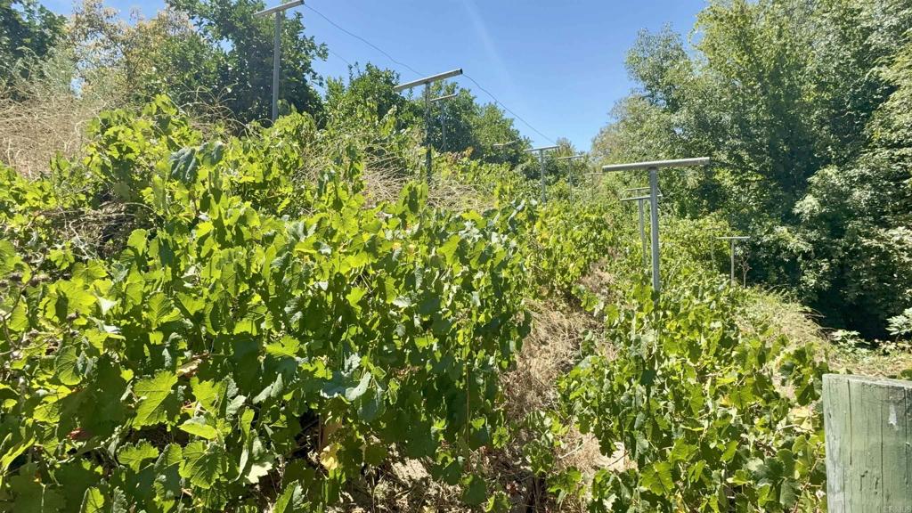 764 Old Highway 395 Property Photo 29