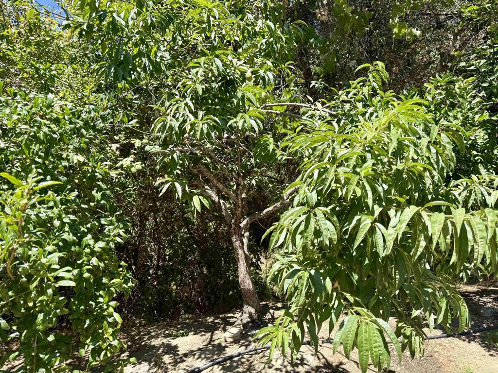764 Old Highway 395 Property Photo 40