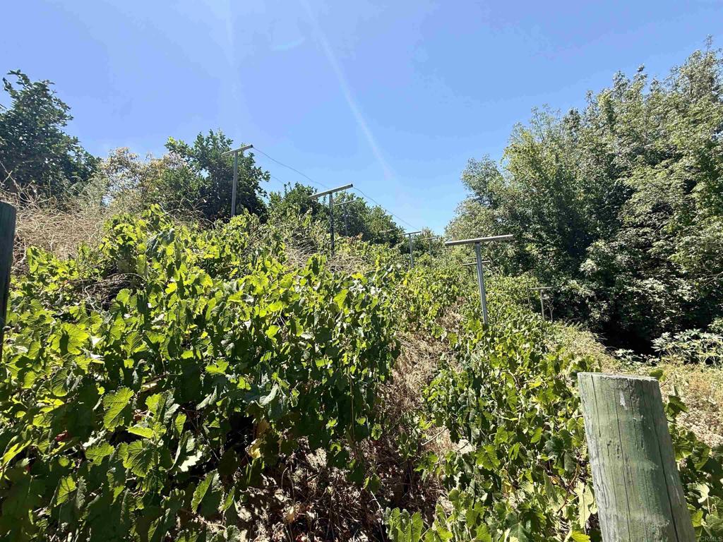 764 Old Highway 395 Property Photo 45