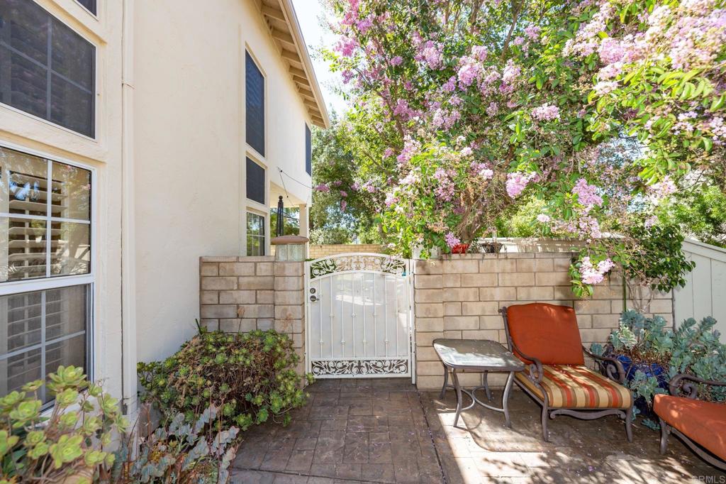 32205 Callesito Fadrique Property Photo 36