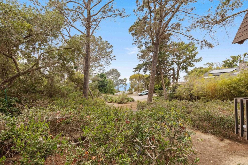 343 Serpentine Drive Property Photo 41