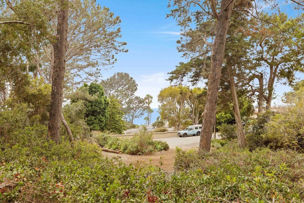 343 Serpentine Drive Property Photo 42