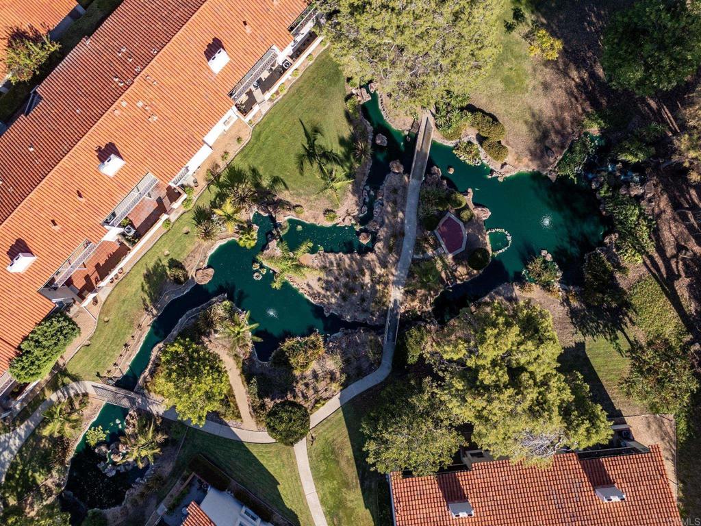 12023 Caminito Campana Property Photo 38