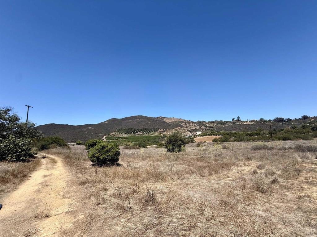 9927 Modrigan Lane Property Photo 3