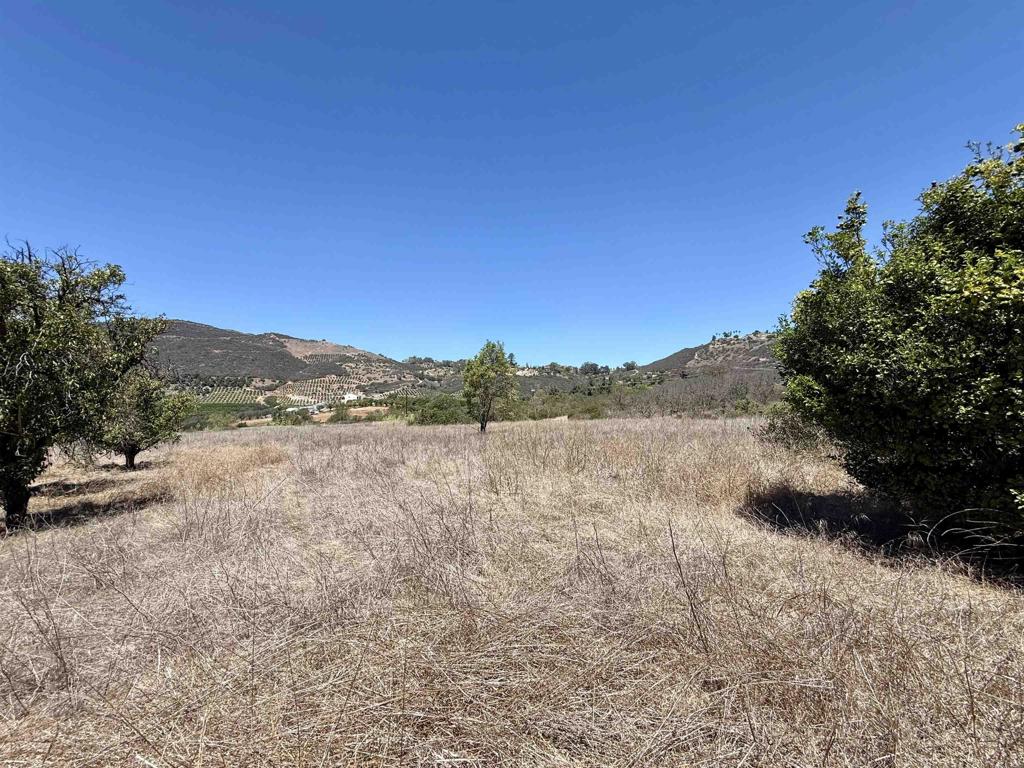 9927 Modrigan Lane Property Photo 4