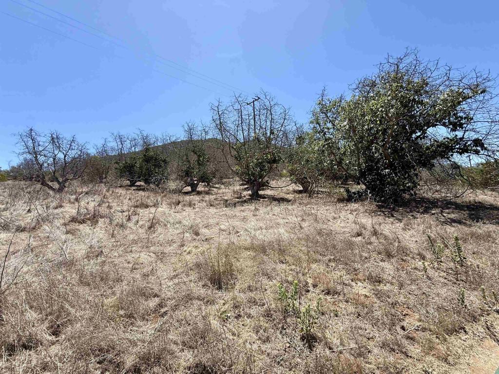 9927 Modrigan Lane Property Photo 16