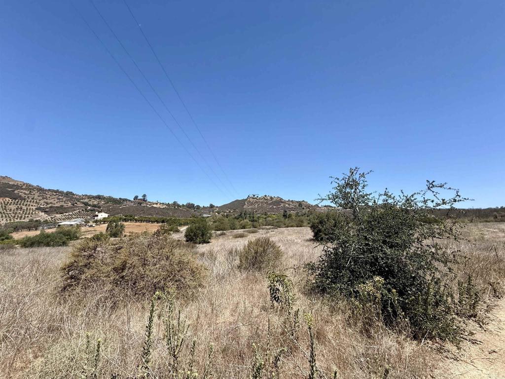 9927 Modrigan Lane Property Photo 18