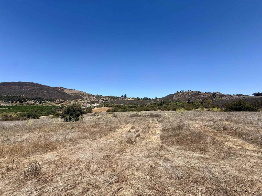 9927 Modrigan Lane Property Photo 20