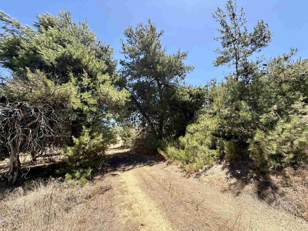 9927 Modrigan Lane Property Photo 22