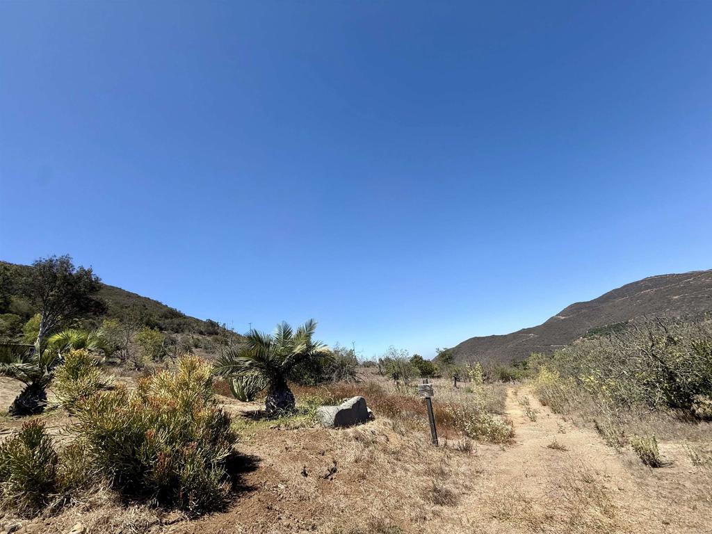 9927 Modrigan Lane Property Photo 24