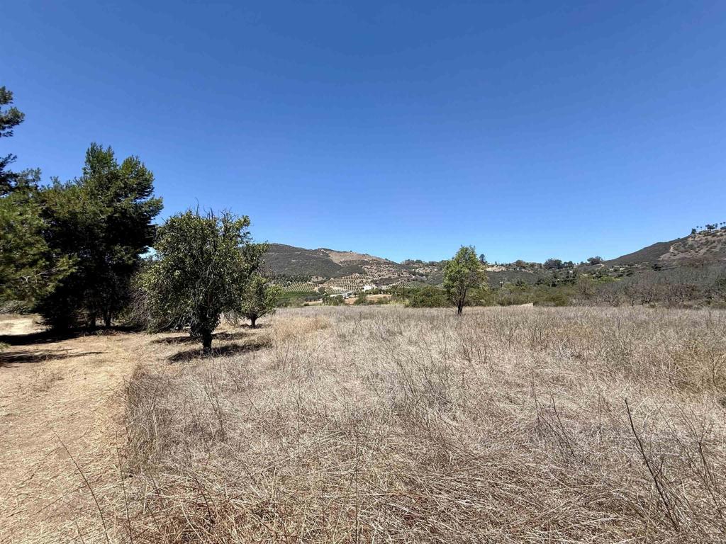 9927 Modrigan Lane Property Photo 25