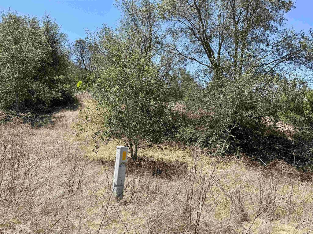 9927 Modrigan Lane Property Photo 26