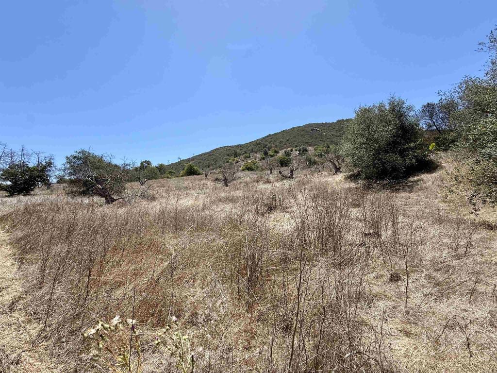 9927 Modrigan Lane Property Photo 27