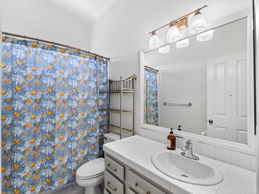 4555 Avenida Manessa Property Photo 36