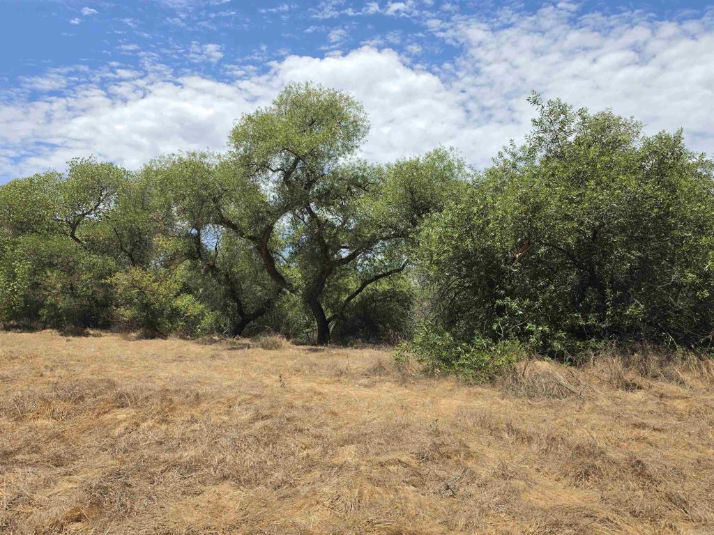 1.41 Acres Durgin Street Property Photo 1
