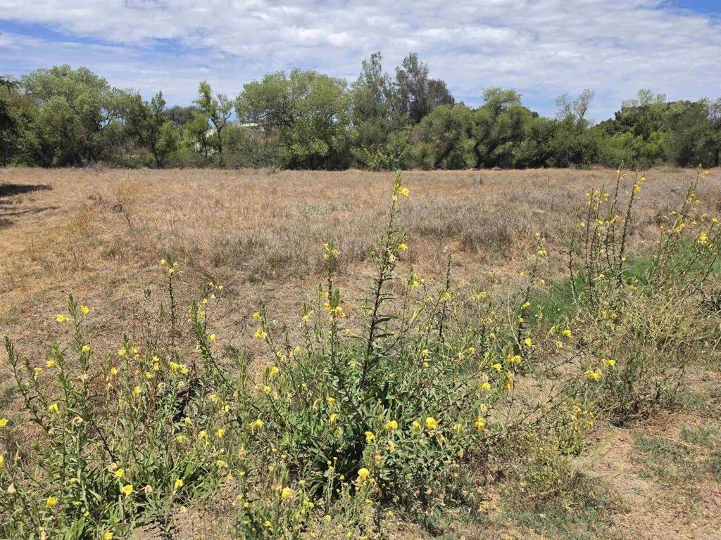 1.41 Acres Durgin Street Property Photo 4