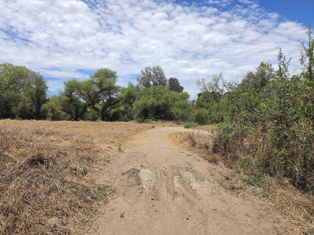 1.41 Acres Durgin Street Property Photo 7