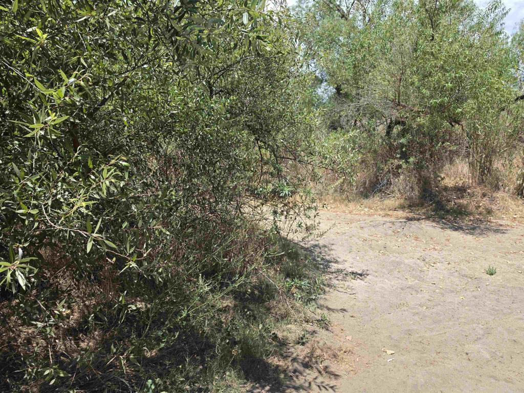 1.41 Acres Durgin Street Property Photo 8