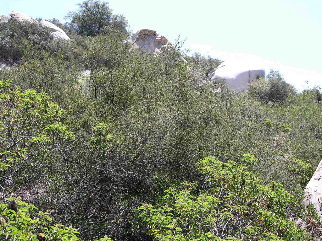 Lot 53 Welcome View Property Photo 3
