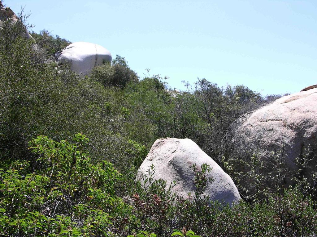 Lot 53 Welcome View Property Photo 4