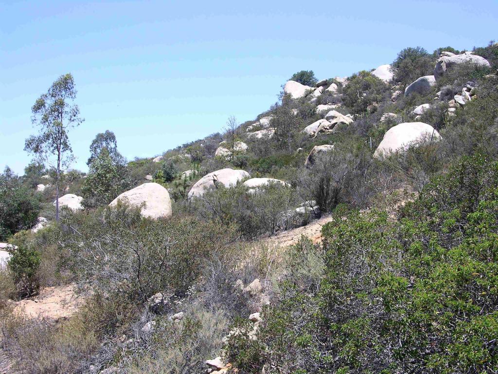 Lot 53 Welcome View Property Photo 8
