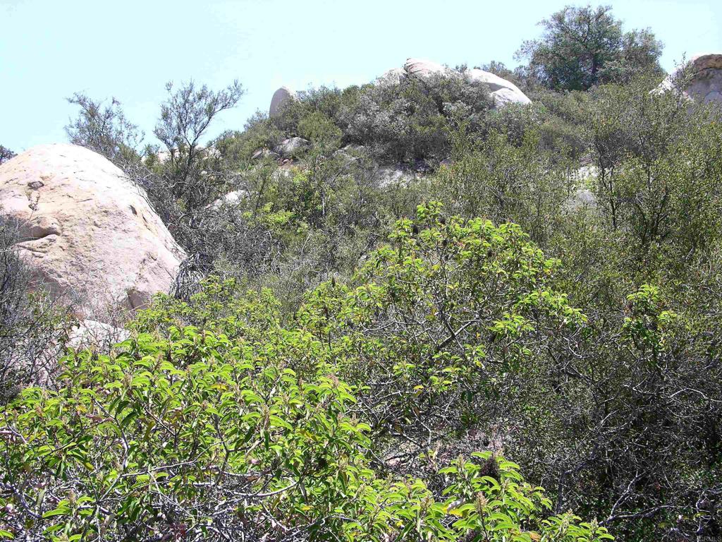 Lot 53 Welcome View Property Photo 11