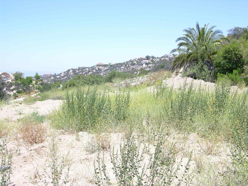 Lot 56 Welcome View Property Photo 5