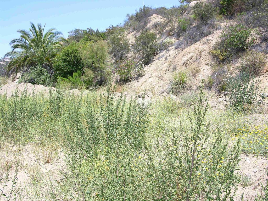 Lot 56 Welcome View Property Photo 6