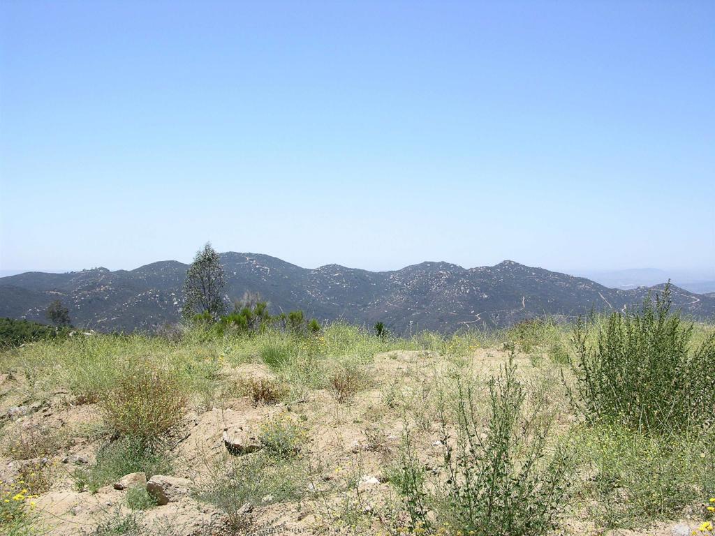 Lot 56 Welcome View Property Photo 7