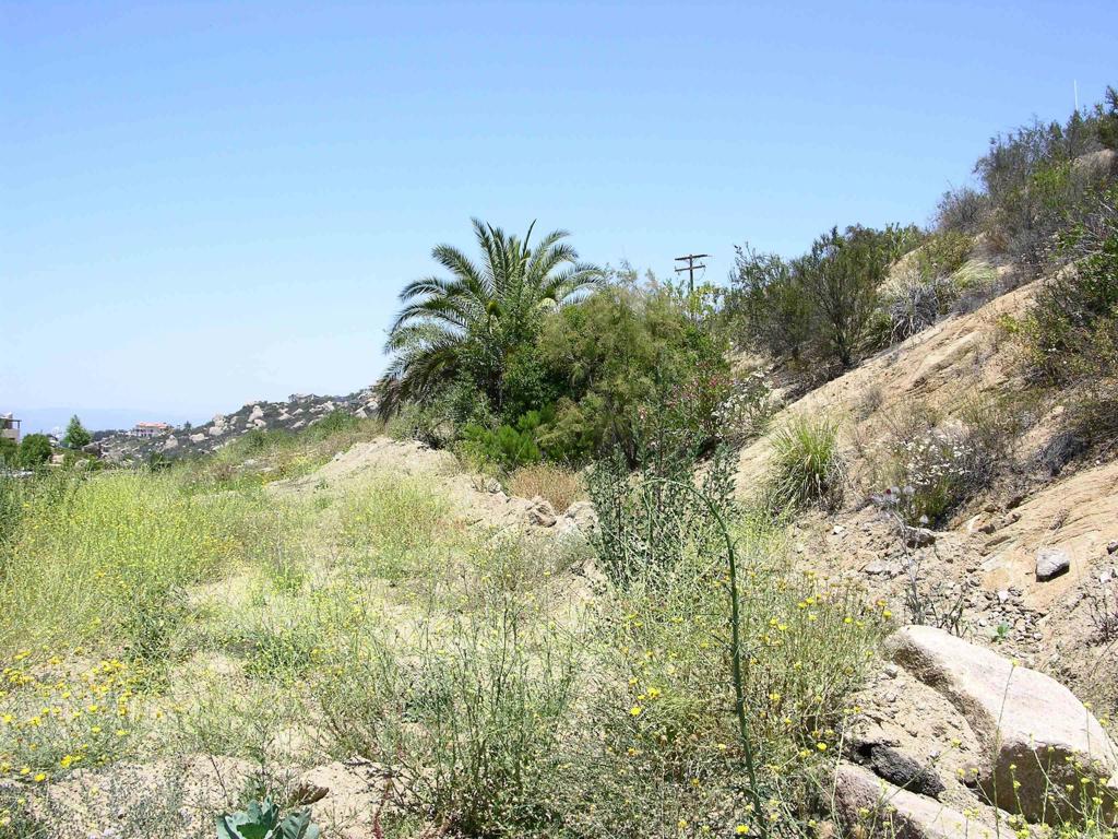Lot 56 Welcome View Property Photo 9