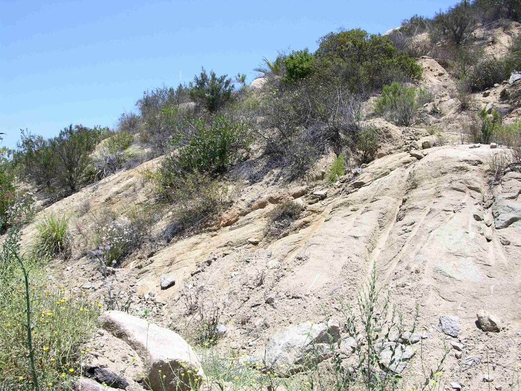 Lot 56 Welcome View Property Photo 10