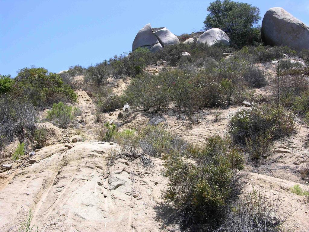 Lot 56 Welcome View Property Photo 11
