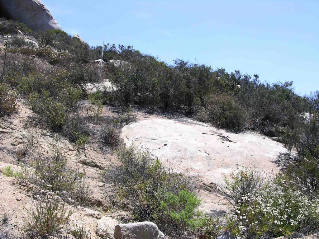 Lot 56 Welcome View Property Photo 12